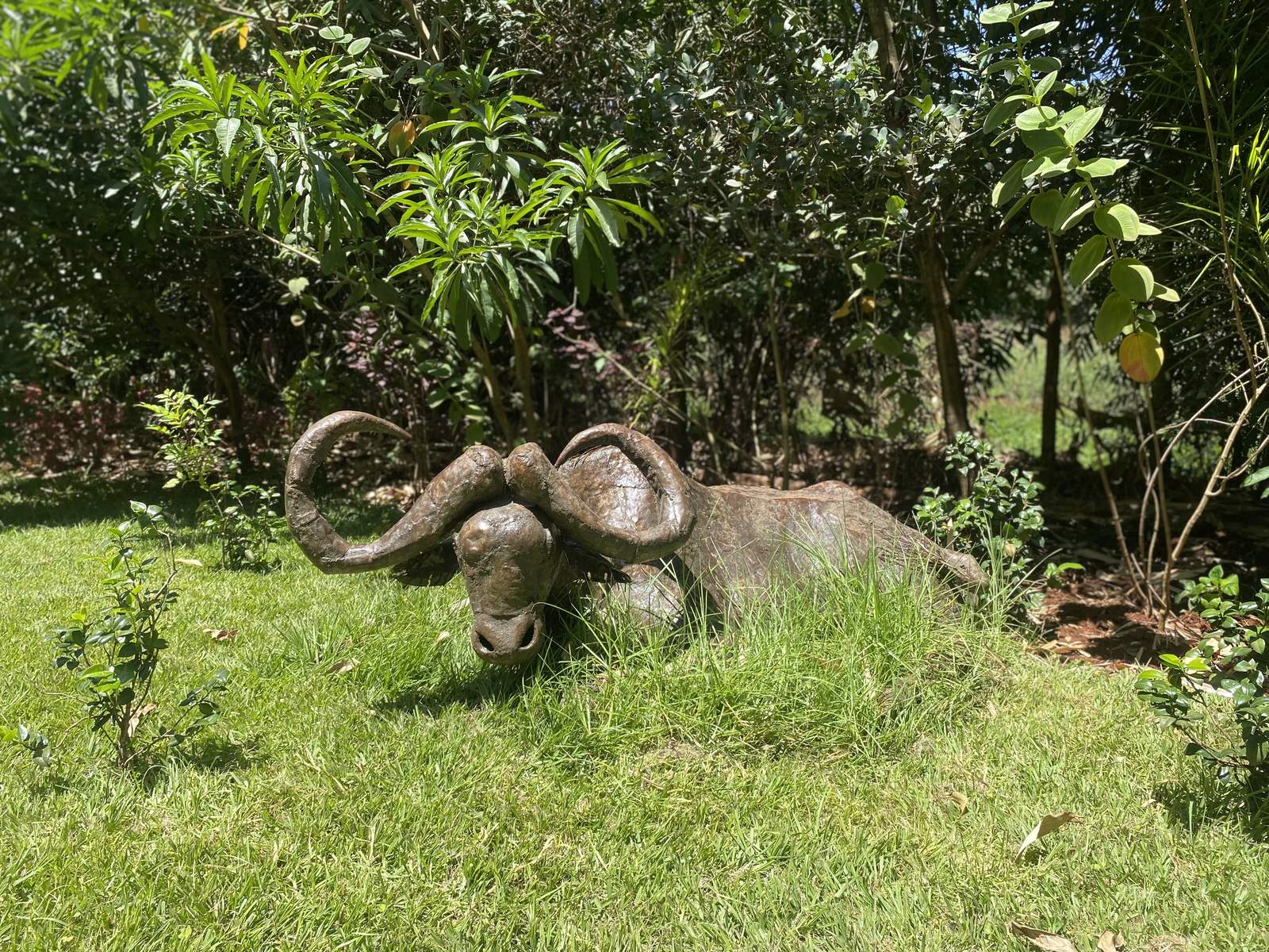 Maarifa Park - Garden Detail